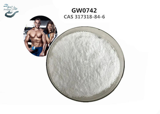 GW0742 Gym Powder CAS 317318-84-6 Sarms Powder For Muscle Building